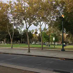 A green grassy park next to an urban street with trees and lampposts on the sidewalk.