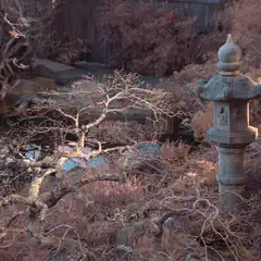 A tranquil garden scene with a stone lantern and a tree with bare branches, set against a backdrop of water and foliage.