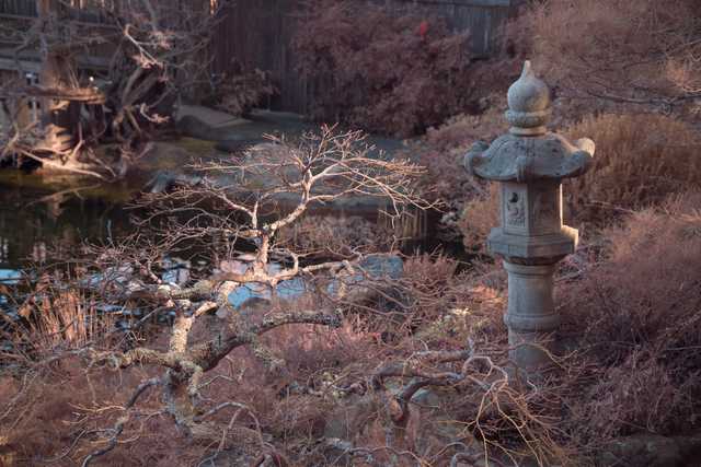 A tranquil garden scene with a stone lantern and a tree with bare branches, set against a backdrop of water and foliage.