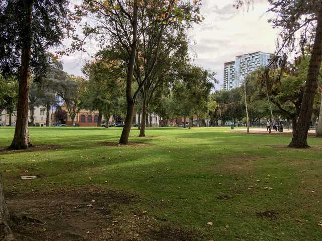 A park with a large lawn and trees on a cloudy day.