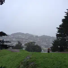 A cityscape obscured by fog, with green foliage and trees in foreground.