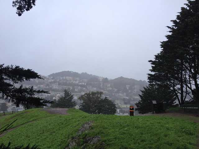 A cityscape obscured by fog, with green foliage and trees in foreground.