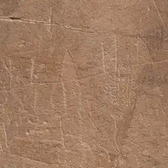 A rock surface features ancient petroglyphs, including geometric shapes and abstract designs.