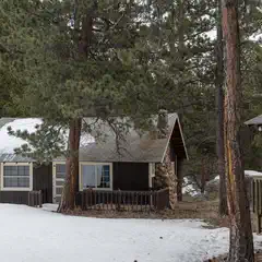 A group of rustic cabins nestled among tall trees with snow on the ground and roofs.
