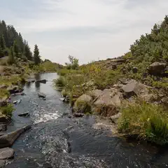 A narrow stream flows between rocky banks covered in vegetation and trees.