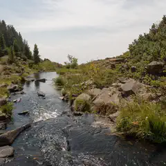 A narrow stream flows between rocky banks covered in vegetation and trees.
