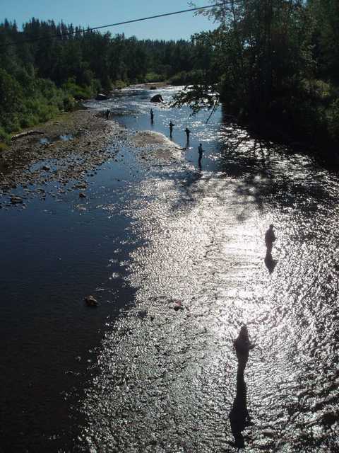 A river flows through a forested area with several people wading in the water.