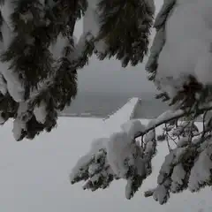 A snow-covered pier extends into a calm, misty body of water, framed by evergreen branches laden with heavy snow.