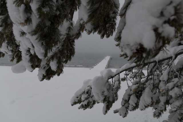 A snow-covered pier extends into a calm, misty body of water, framed by evergreen branches laden with heavy snow.