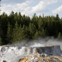 A steaming, bubbling hot spring surrounded by trees and rocks.