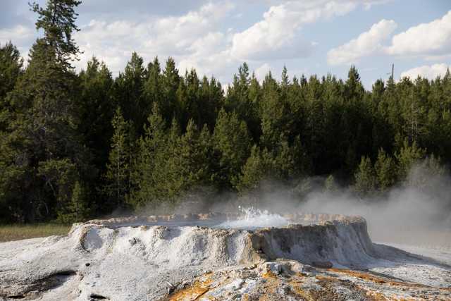 A steaming, bubbling hot spring surrounded by trees and rocks.