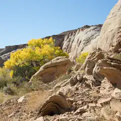 A landscape featuring sandstone formations and vibrant yellow trees is set against a clear blue sky.
