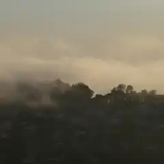 A hazy, golden fog blankets a cityscape, with rooftops and trees barely visible beneath the mist.