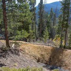 An old mine shaft at the bottom of a steep hillside, surrounded by trees and underbrush.