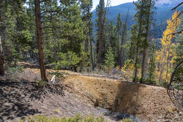 An old mine shaft at the bottom of a steep hillside, surrounded by trees and underbrush.