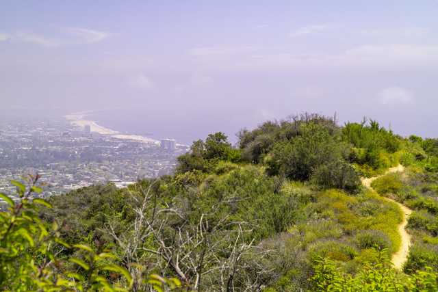 A dirt path winds through dense shrubs and trees on a hillside overlooking a coastal city.