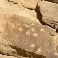 Ancient petroglyphs etched into dark, weathered rock surface.