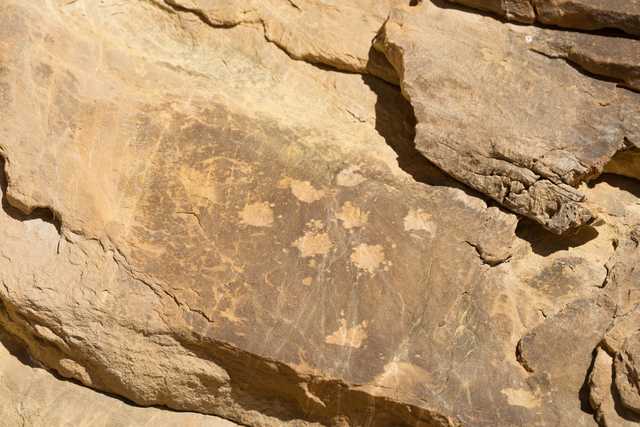 Ancient petroglyphs etched into dark, weathered rock surface.