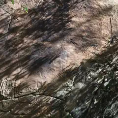 A large rock face, featuring several cracks and crevices and a humanoid petroglyph.