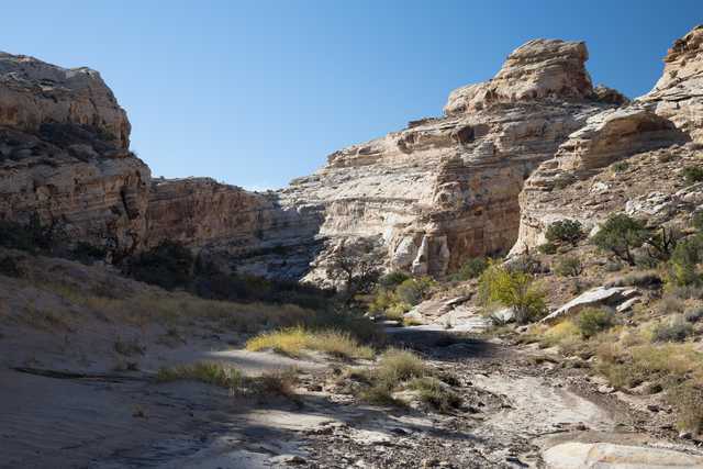 A rocky canyon with a dry creek bed and sparse vegetation under a clear sky.