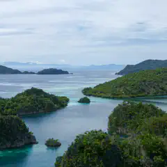 A collection of small, tree-covered islands surrounded by clear blue waters and coral formations.
