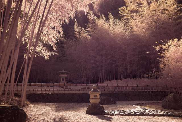A stone lantern sits on a large rock surrounded by gravel in front of a bamboo grove.