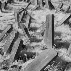 A collection of weathered, leaning gravestones in a grassy area.