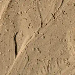 A sandy surface features small indentations resembling bubbles or circular depressions, formed by rain drops.