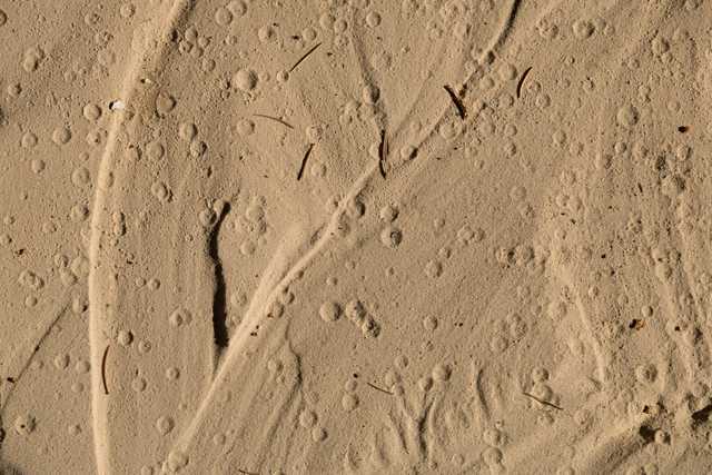 A sandy surface features small indentations resembling bubbles or circular depressions, formed by rain drops.