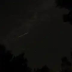A meteor streaking across a dark night sky filled with stars, viewed from a location surrounded by trees.