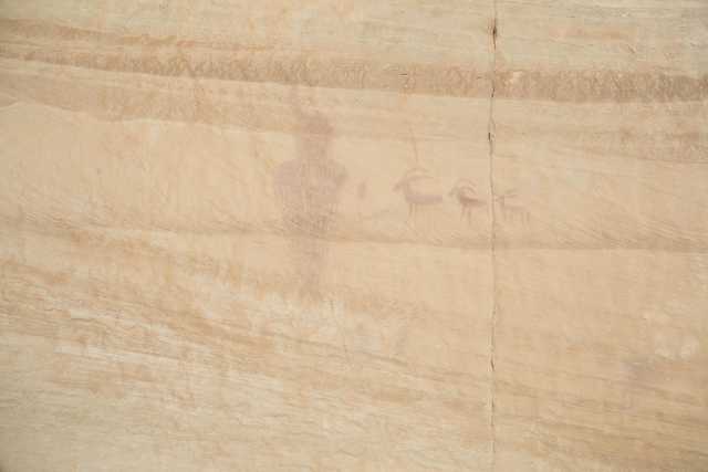 A light-colored rock wall features faint, ancient petroglyphs depicting three goats or sheep.