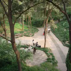 A winding path winds through a wooded area, lined with trees on both sides.