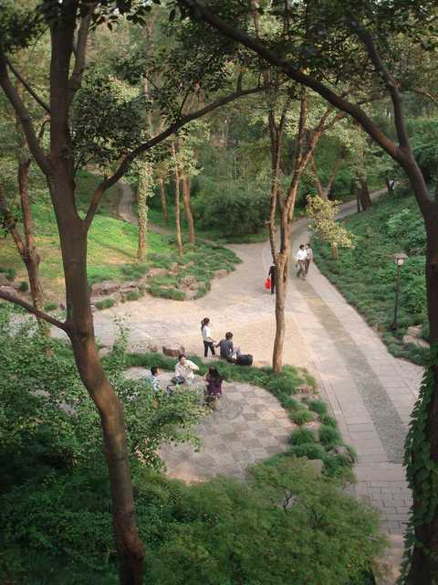 A winding path winds through a wooded area, lined with trees on both sides.