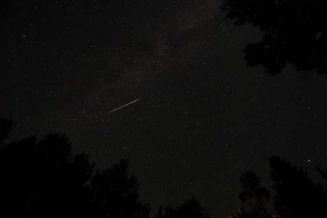 A meteor streaking across a dark night sky filled with stars, viewed from a location surrounded by trees.