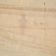 A light-colored rock wall features faint, ancient petroglyphs depicting three goats or sheep.