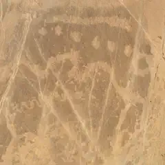 Ancient petroglyphs carved into a rock wall in a desert environment.