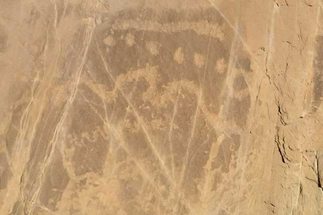 Ancient petroglyphs carved into a rock wall in a desert environment.