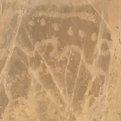 Ancient petroglyphs carved into a rock wall in a desert environment.