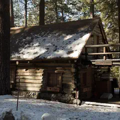 A cabin with a brown wooden exterior and stone foundation is surrounded by tall trees.