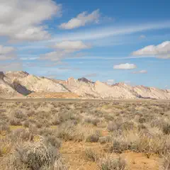 A desert landscape with mountains in the distance and scrub brush in the foreground.