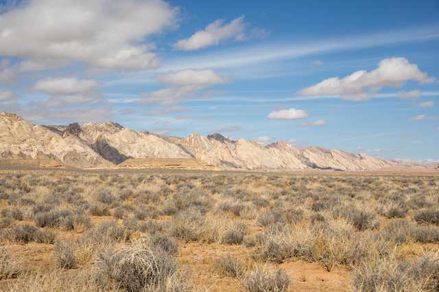 A desert landscape with mountains in the distance and scrub brush in the foreground.