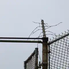 A rusted metal fence topped with barbed wire, standing against a gray sky.