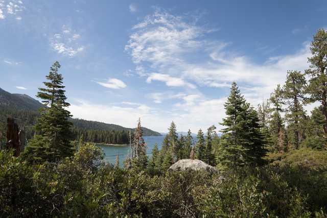A serene lake surrounded by dense evergreen trees under a bright blue sky with scattered clouds.