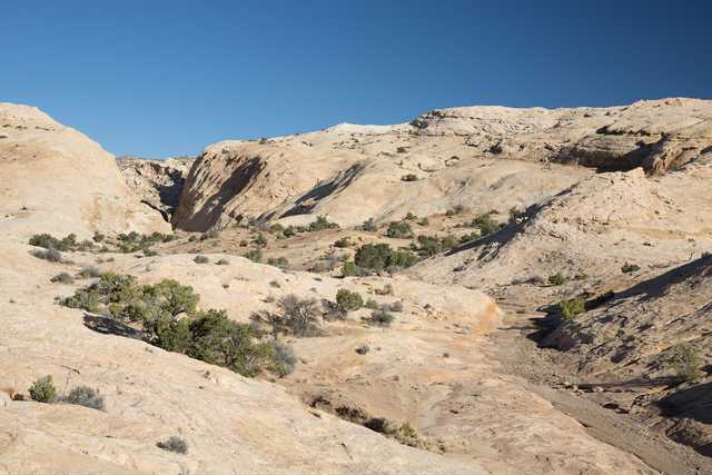 A rugged landscape with a winding canyon and sparse vegetation under a clear blue sky.