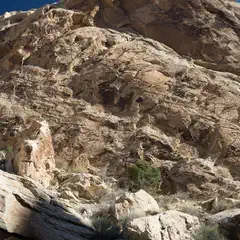 A rocky cliff face composed of light brown rock with darker striations and patches.