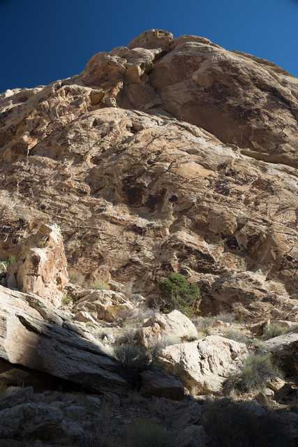 A rocky cliff face composed of light brown rock with darker striations and patches.