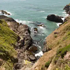 A rocky coastline with a narrow path leading to the ocean, where waves crash against the shore and rocks are covered in seaweed.