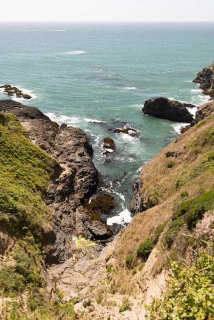 A rocky coastline with a narrow path leading to the ocean, where waves crash against the shore and rocks are covered in seaweed.