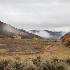 A lone cow grazes in a misty, autumnal valley surrounded by rolling hills and scattered trees.