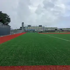 A green baseball field has a red base path and a dark fence running along the left side, with buildings visible in the distance under a cloudy sky.